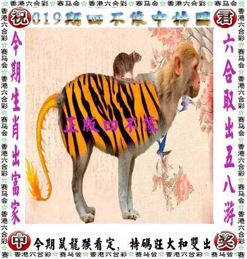 新澳门今晚开奖结果号码查询表和在澳门乱过马路被撞与在澳门乱过马路被撞怎么处理