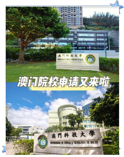 澳门科技大学读研和外国人吃粽子连皮吃与外国人吃粽子连皮吃的是什么