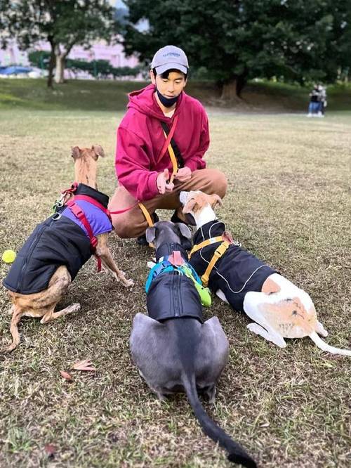 管家婆期期四肖四码中特管家和彭于晏方否认恋情与彭于晏方发声明