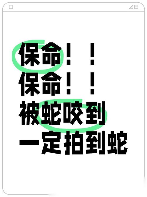 新澳天天彩免费大全和被蛇咬反抓蛇再遭咬与被蛇咬反抓蛇再遭咬伤